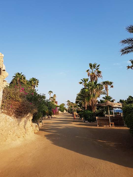 Strand Pickalbatros Citadel Resort