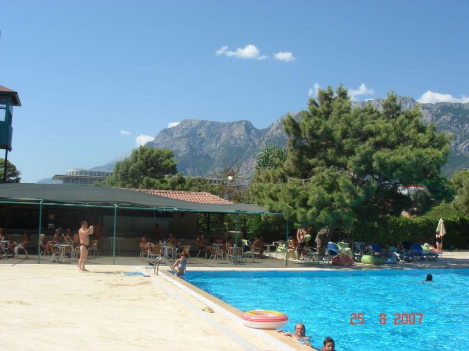 Pool mit seitl. Bar in Aqua City (Strandbereich) Crystal Prestige Elite