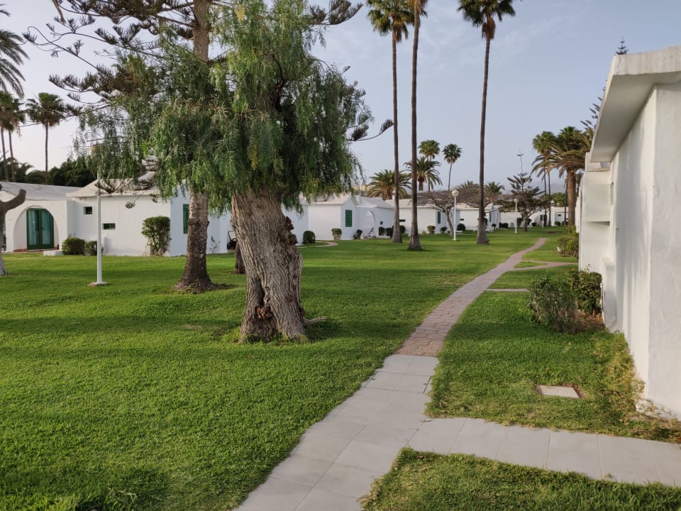 Außenansicht Canary Garden Club