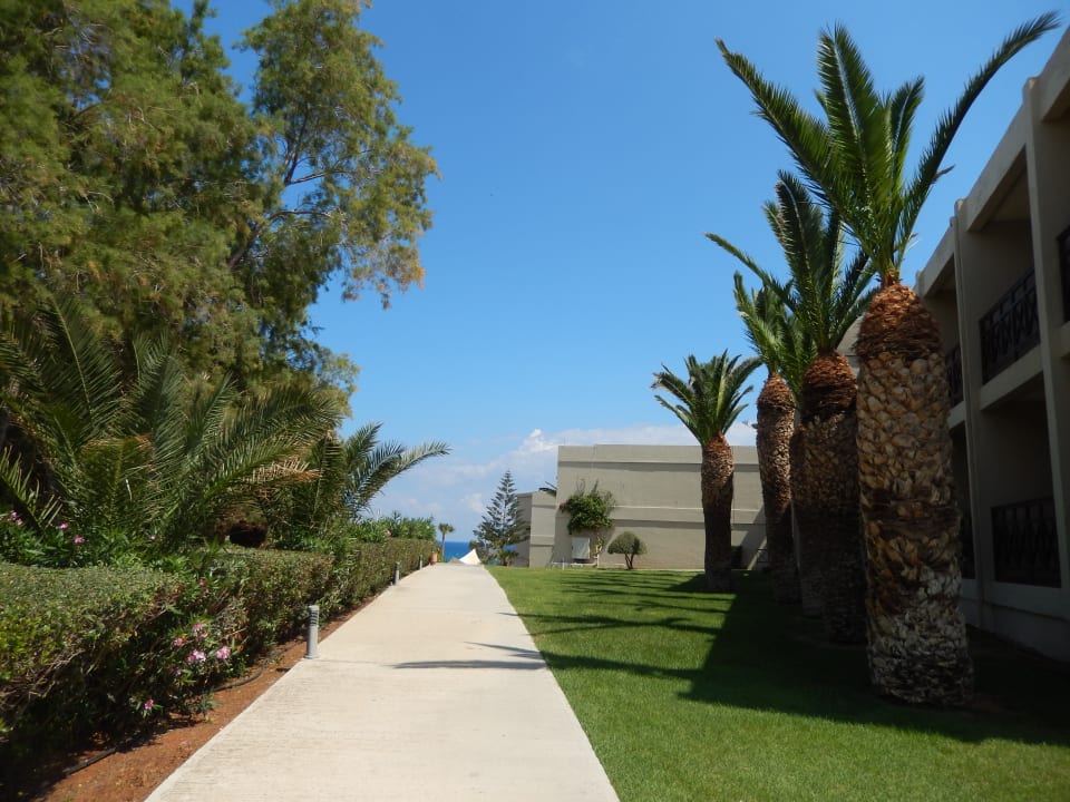 Weg vom Süßwasserpool zum Meer allsun Hotel Malia Beach