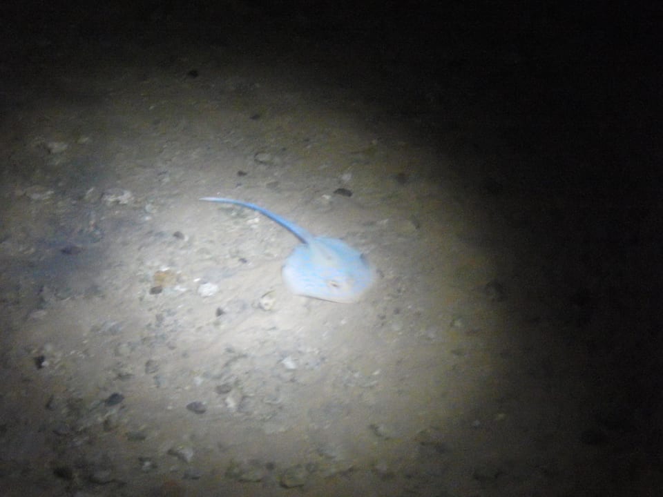 Mit der Taschenlampe abends am Steg entlang Stella Beach Resort & Spa Makadi Bay