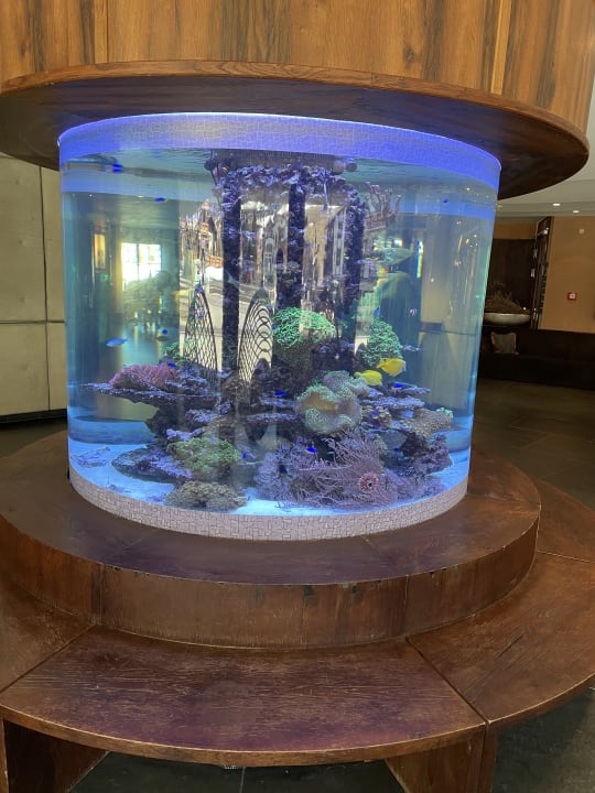 Lobby Alpenrose - Familux Resort