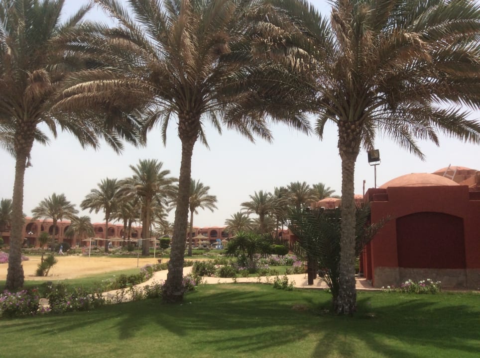 Gartenanlage Swisstouch Oriental Resort Marsa Alam