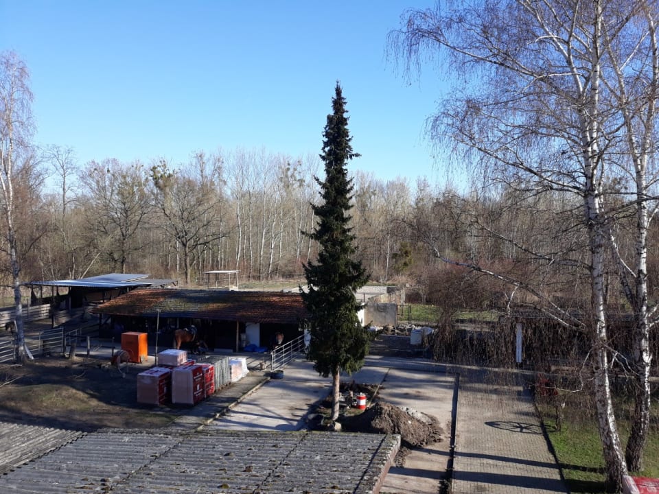 Ausblick Cafe Restaurant Rheinstrom