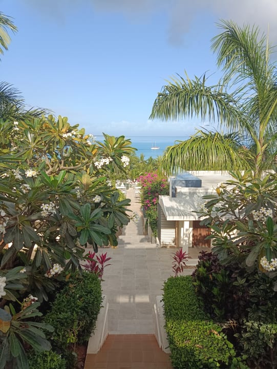 Gartenanlage Hotel Riu Jambo