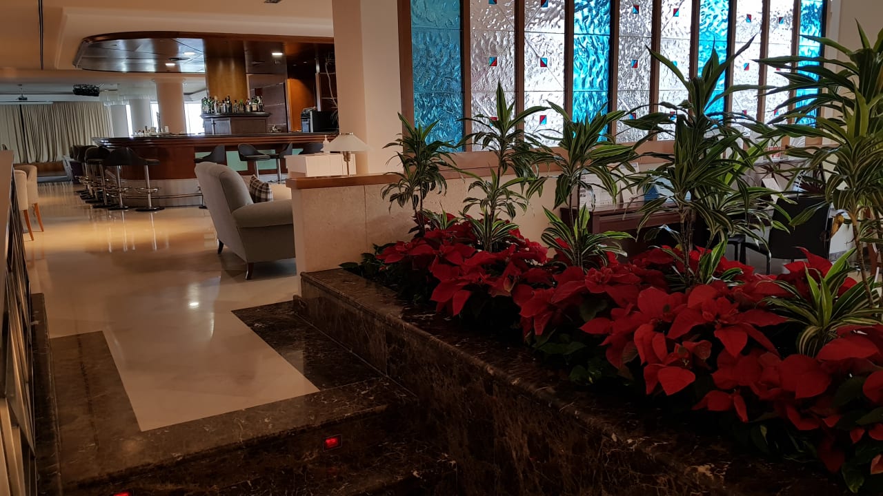 Lobby Hipotels Hipocampo Playa