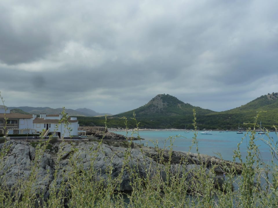 Blick zur Cala Agulla vom Hotel aus Parque Nereida Suites Hotel