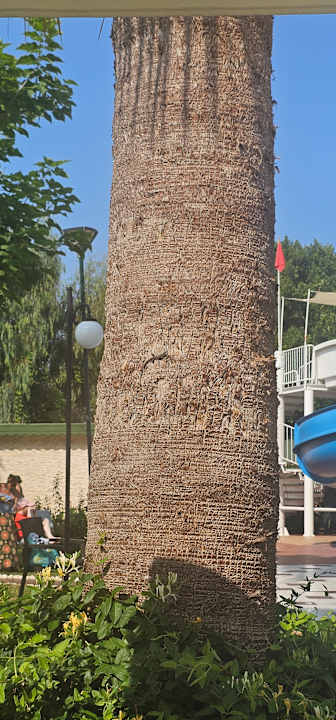 Pool Sentido Lycus Beach