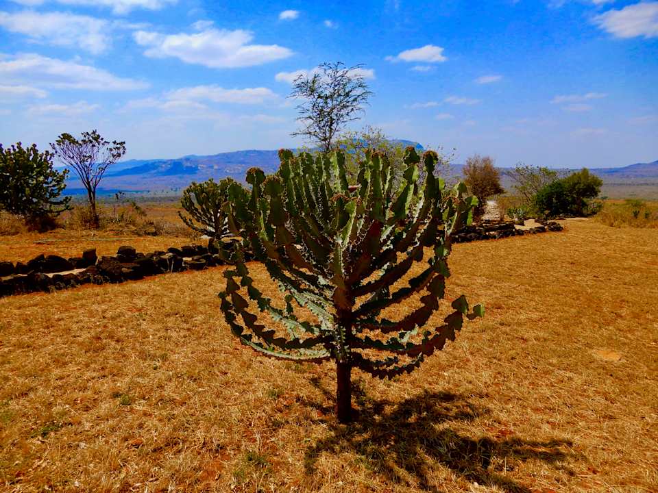 Gartenanlage Rhino Valley Lodge