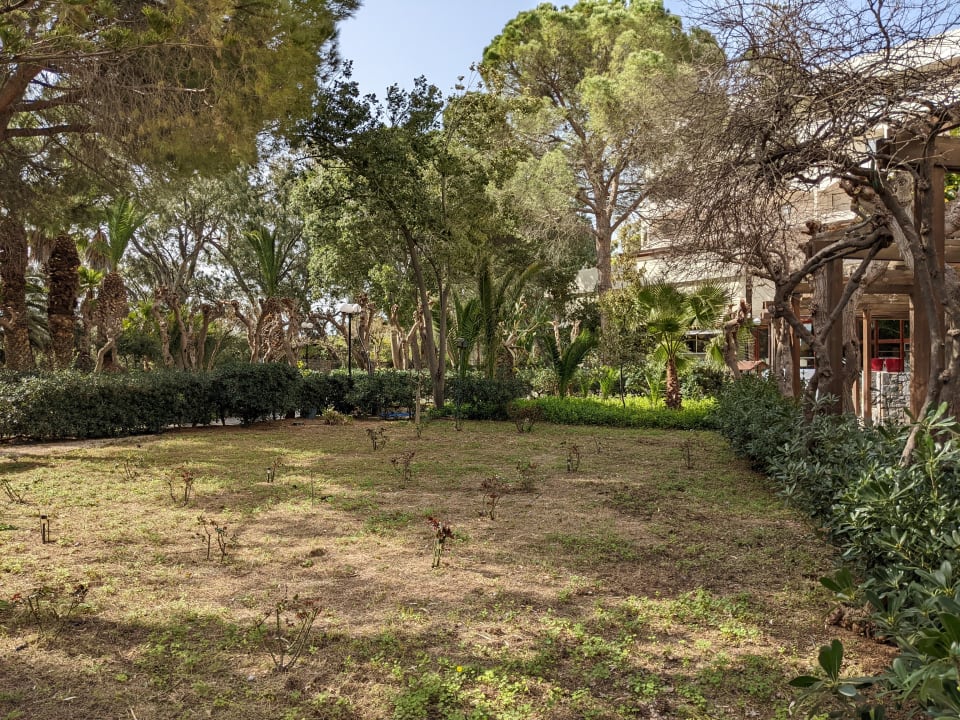 Gartenanlage Apollonia Beach Resort & Spa