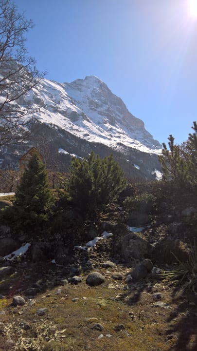 Aussicht vom Wellnessbereich Sunstar Hotel Grindelwald