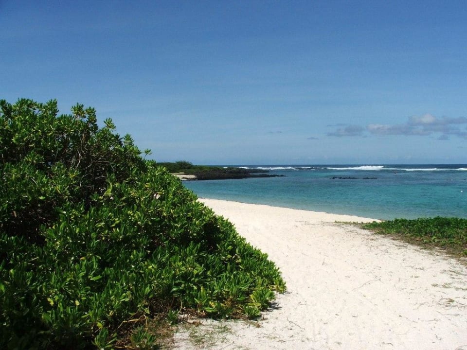 Strand nach links Friday Attitude