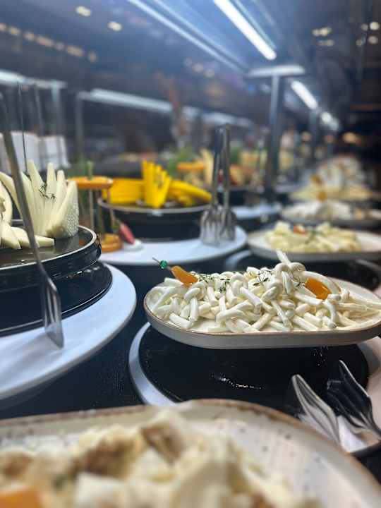 Gastro Seashell Vega