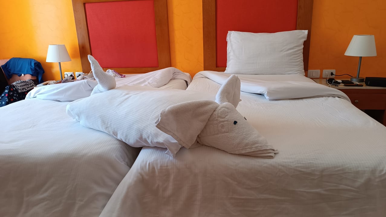 Zimmer Hotel Gorgonia Beach Resort