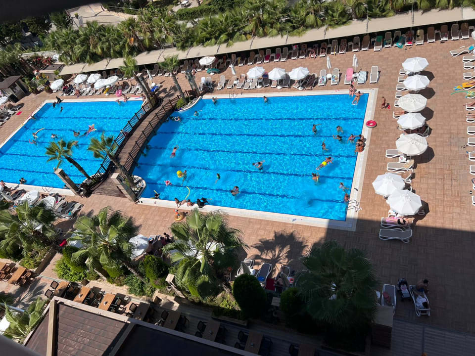 Pool Dizalya Palm Garden