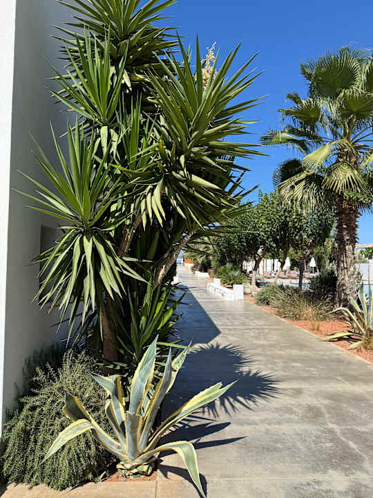 Gartenanlage Paralos Lifestyle Beach