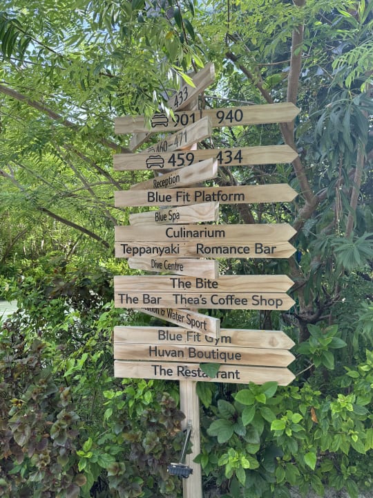 Sonstiges TUI BLUE Olhuveli Romance