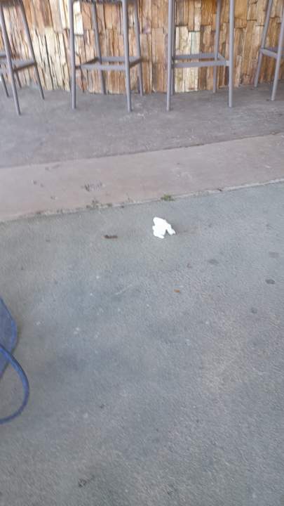 Gastro Hotel Borjana