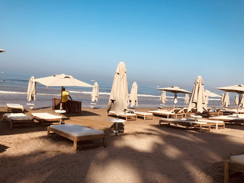 Strand Acanthus Cennet Barut Collection