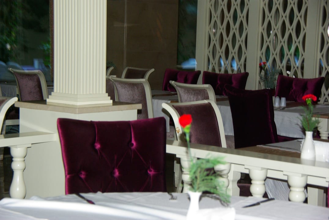 Gastro Well Palace Side