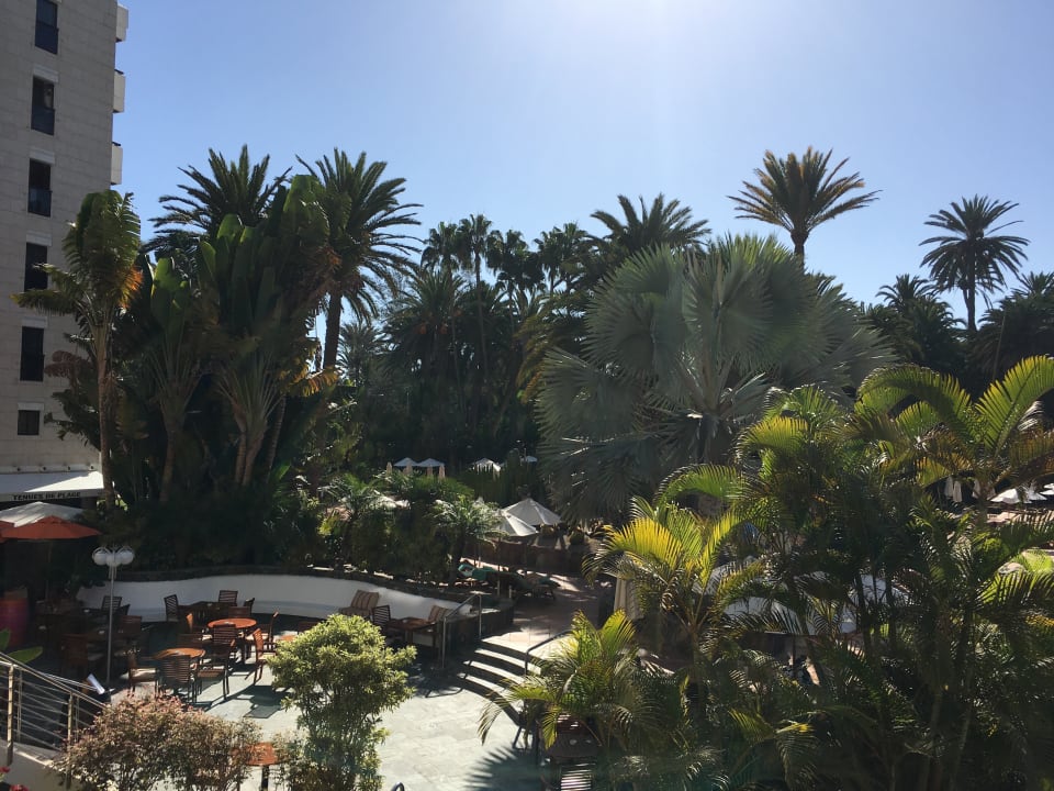 Gartenanlage Seaside Hotel Palm Beach