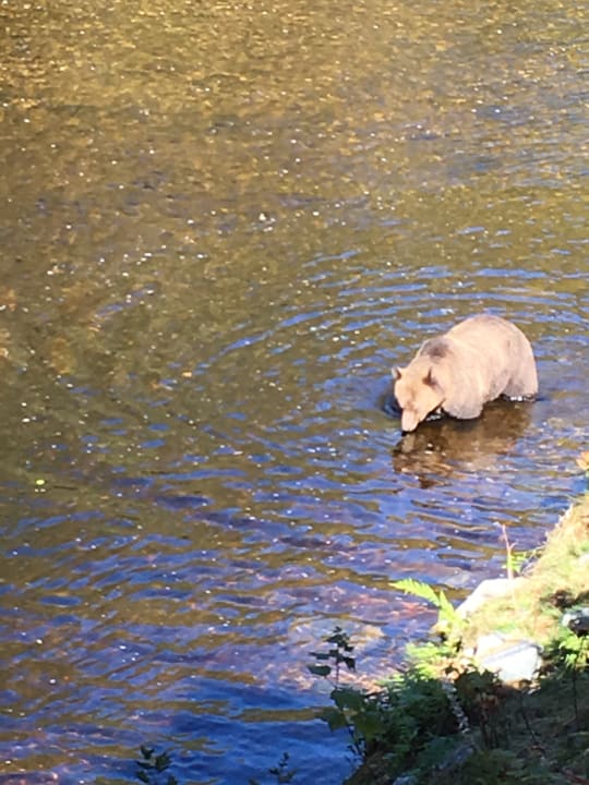 Sport & Freizeit Hotel Knight Inlet Lodge