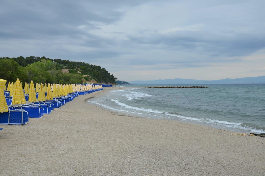 Plaża przy hotelu Hotel Athos Palace