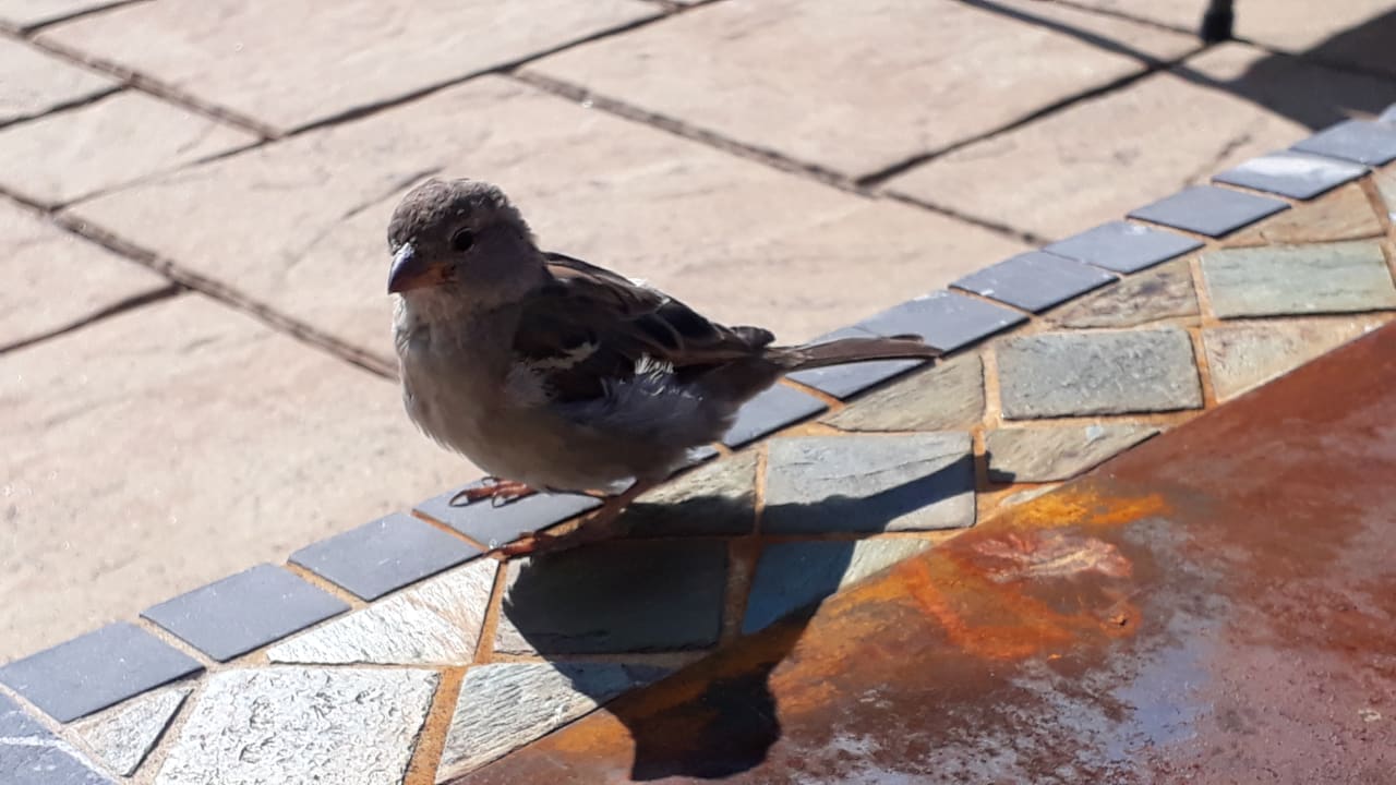 Sonstiges Ferienhof Schöne Aussicht