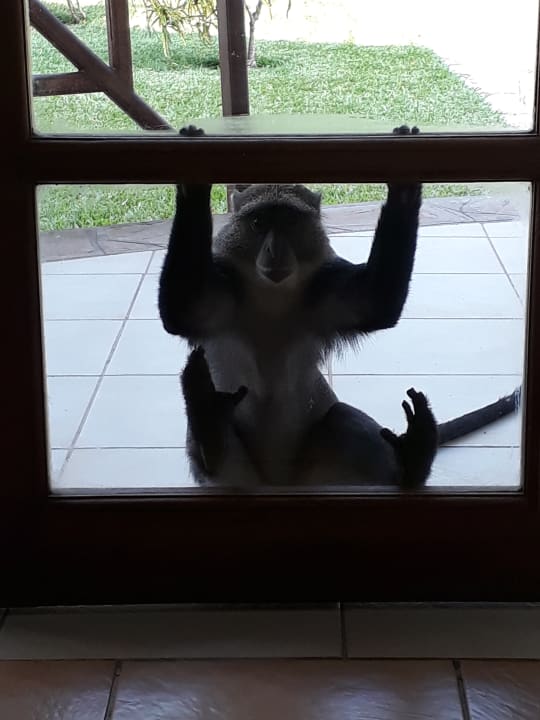 Zimmer Neptune Village Beach Resort & Spa