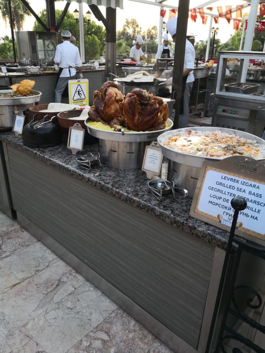 Gastro Papillon Belvil