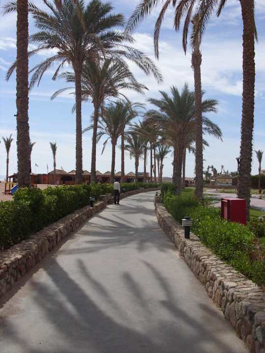 Promenada Sea Beach Aqua Park Resort Managed by Blue Resorts
