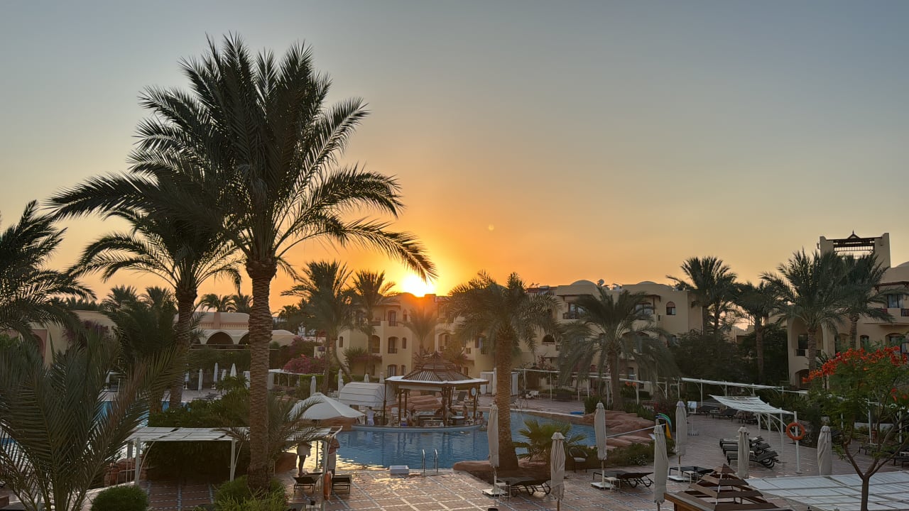 Pool Steigenberger Coraya Beach - Adults only