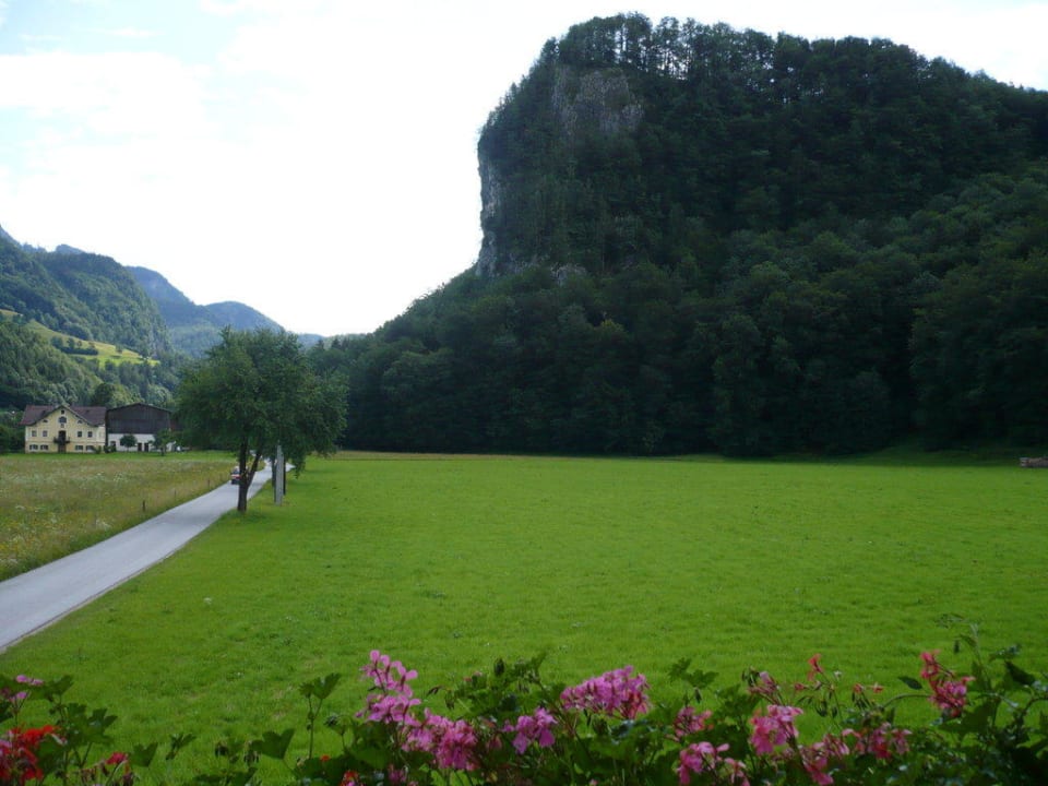 Ausblick vom Balkon Ferienwohnung Siller