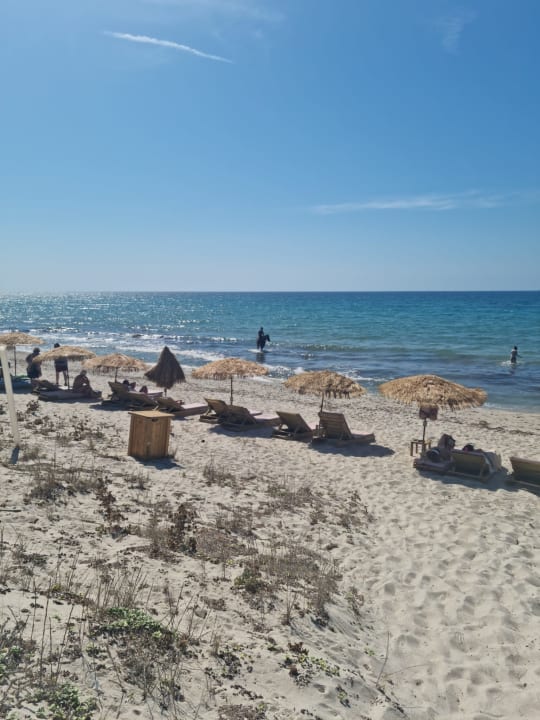 Strand Paralos Kyma Dunes