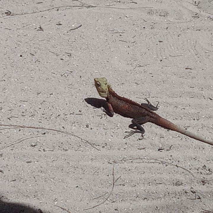 Außenansicht Embudu Village