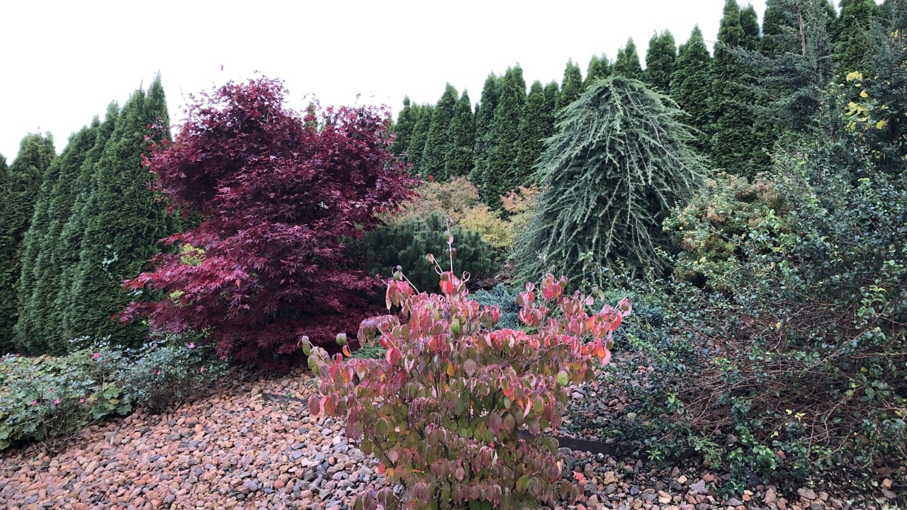 Gartenanlage Schlössl Hotel Kindl