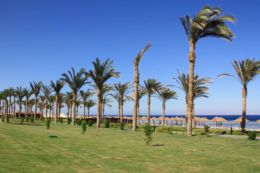 View Rixos Sharm El Sheikh Adults Only 18 +
