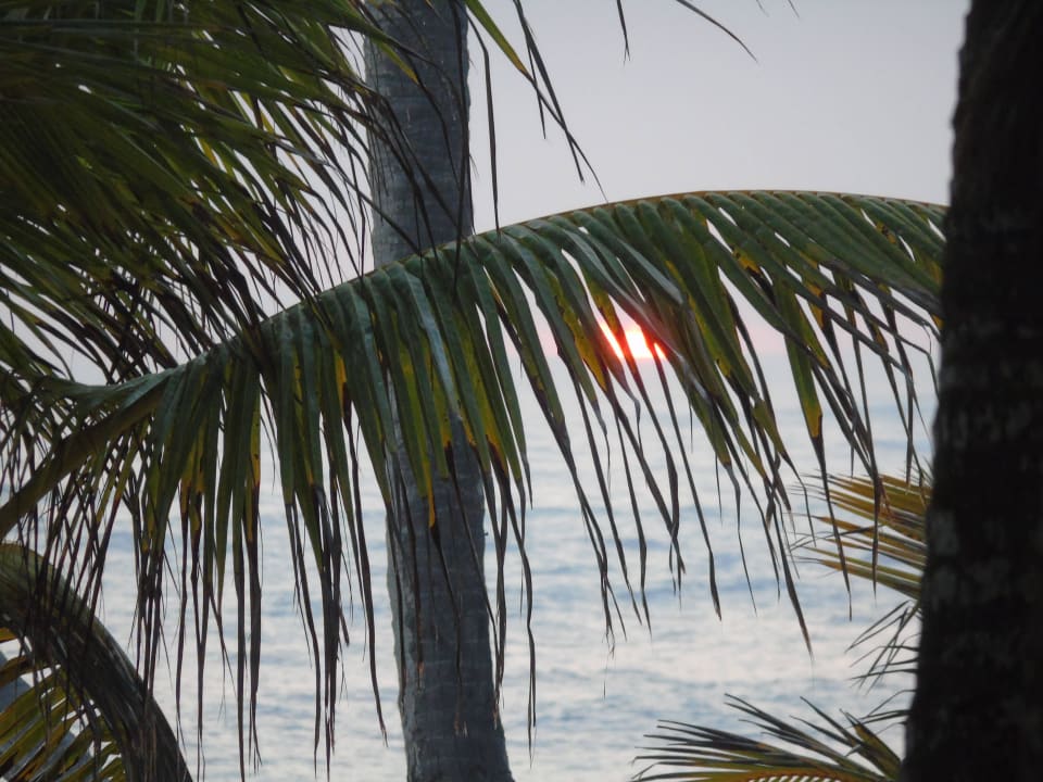 Sonnenaufgang  Hotel Riu Palace Macao - Adults only