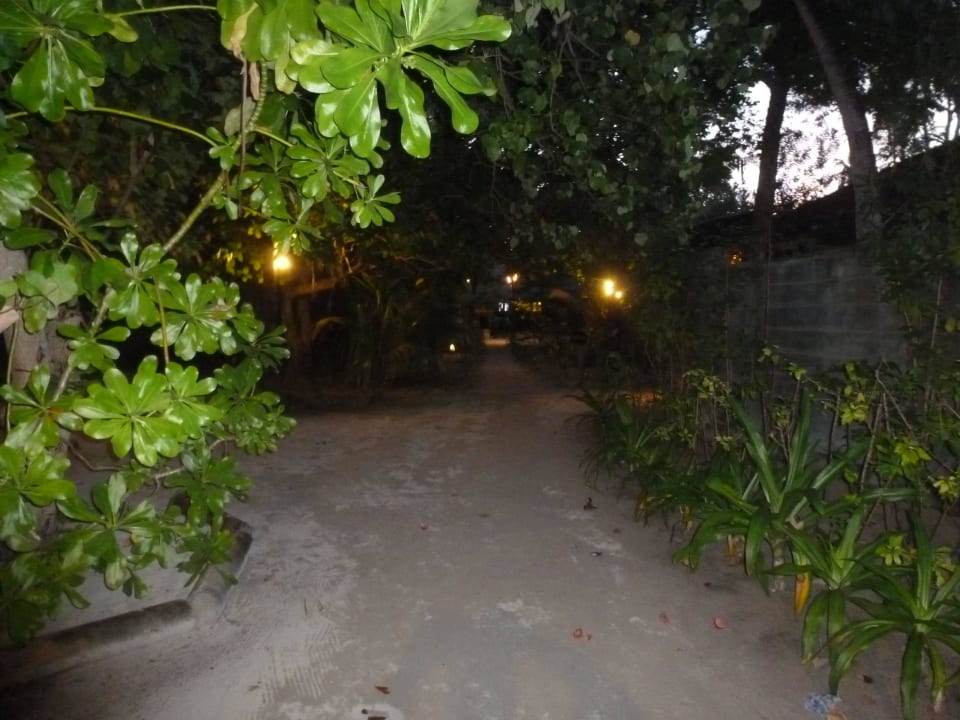 Wege der Anlage Kuredu Island Resort & Spa