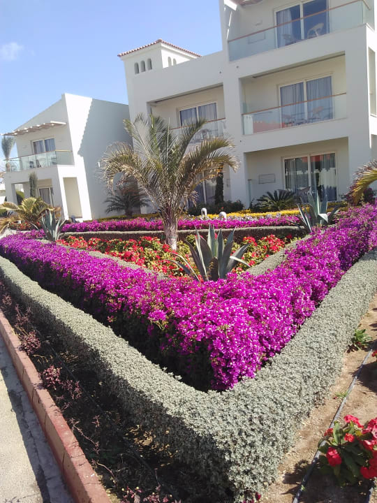 Außenansicht Pickalbatros Dana Beach Resort - Hurghada