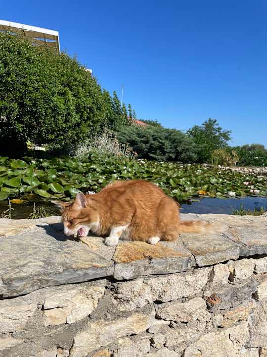 Sonstiges Club Resort Atlantis