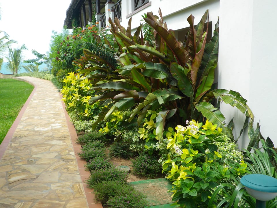 Üppige Pflanzenpracht Sea Cliff Resort & Spa