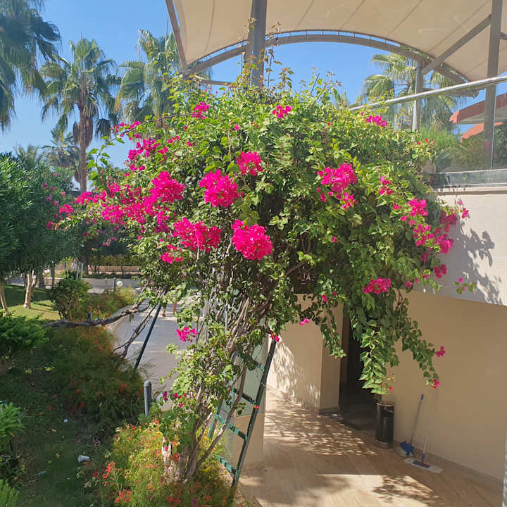 Gartenanlage VONRESORT Golden Coast