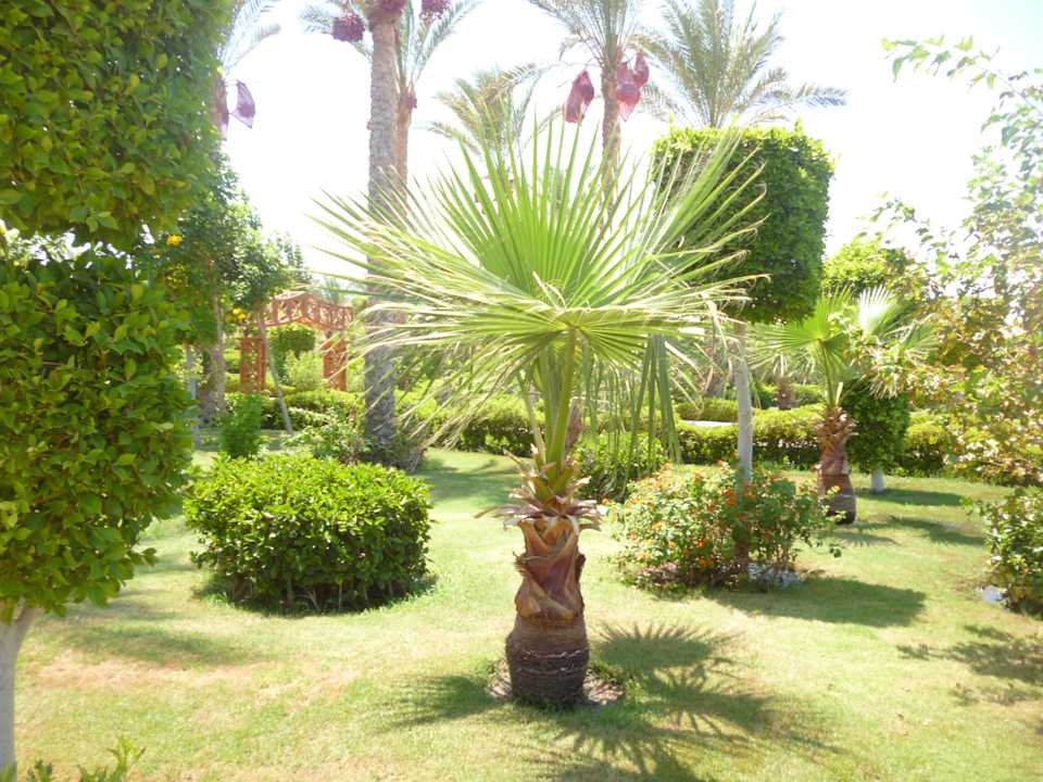 Территория отеля Riviera Aqua Park Resort