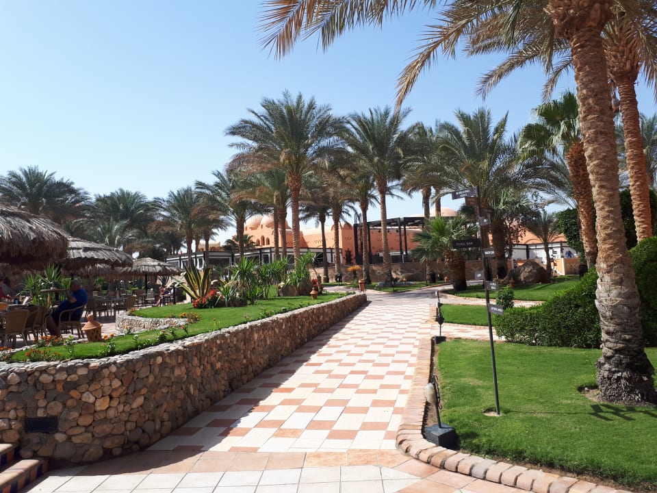 Garten Jaz Makadi Oasis Resort