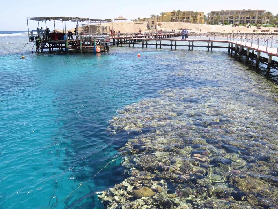 Vom Steg Blick aufs Korallendach Steigenberger Coraya Beach - Adults only