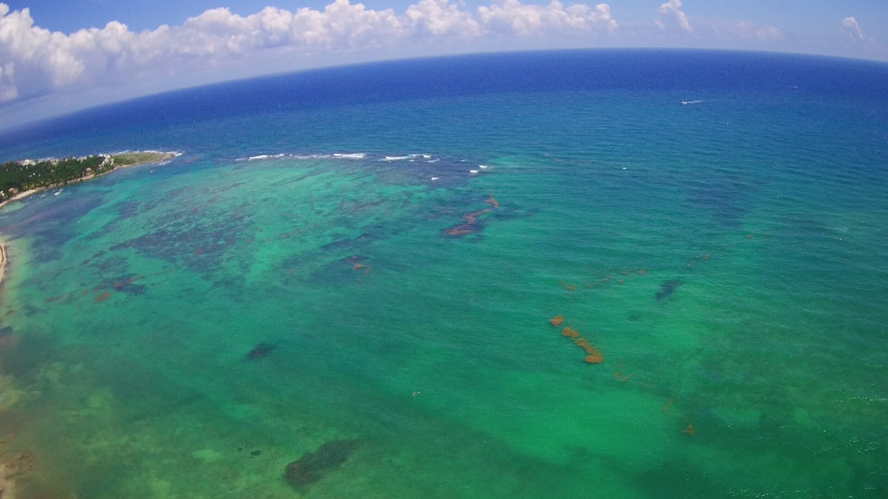 Strand Akumal Bay Beach & Wellness Resort