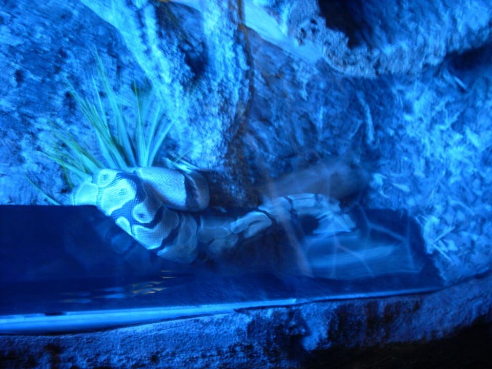 Dschungelland Ferienwohnungen Ferienpark Weissenhäuser Strand