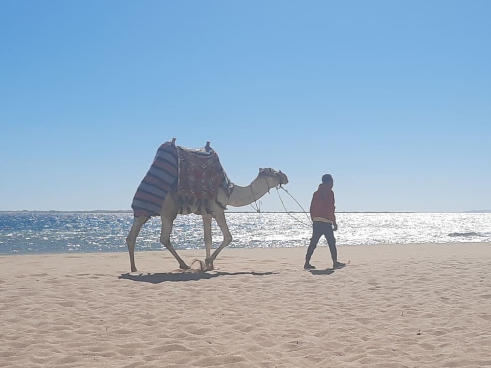 Strand Shams Safaga Resort