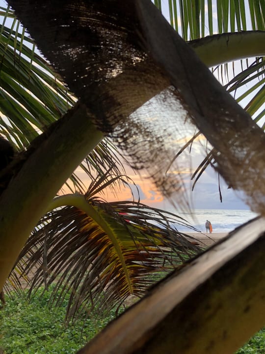 Ausblick Pandanus Beach Resort & Spa